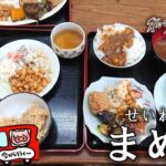 【多気町】「せいわの里 まめや」家庭的な豆料理バイキング！ランチを食べに行ってきた！（メニュー・営業時間）