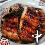 【志摩市】「中六」の究極のうな丼を食べてきた！有形文化財に登録された建物｜メニュー・駐車場