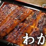 【松阪市】「炭焼きうなぎ わかや本舗」ミシュランを獲得した鰻屋！国産にこだわる絶品のうな丼｜食べた感想・メニュー