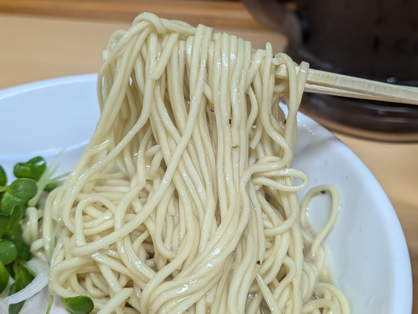 美味しそうな麺