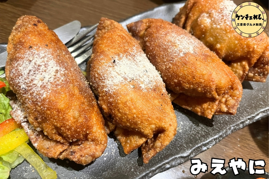 [919]【人気メニューBEST5】津市の居酒屋「みえやに」で三重名物・津ぎょうざ・地魚を食べ尽くす完全ガイド