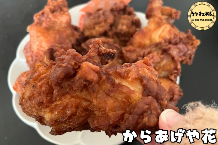 鮮やかな茶色の唐揚げ