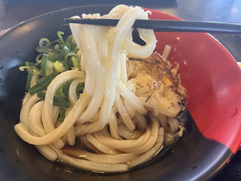 伊代製麺の麺