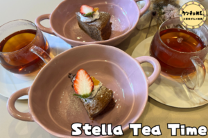 淡色のお皿がおしゃれな紅茶とガトーショコラ