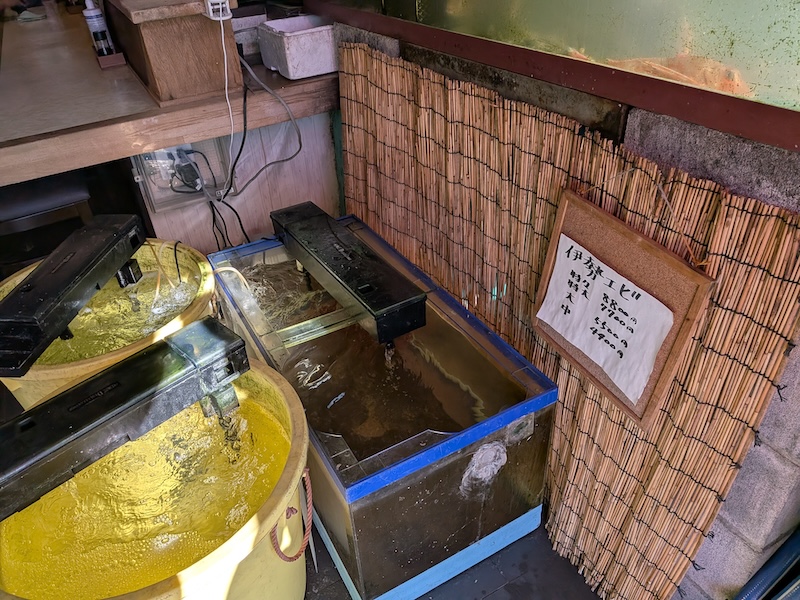 泳ぐ新鮮な魚の様子