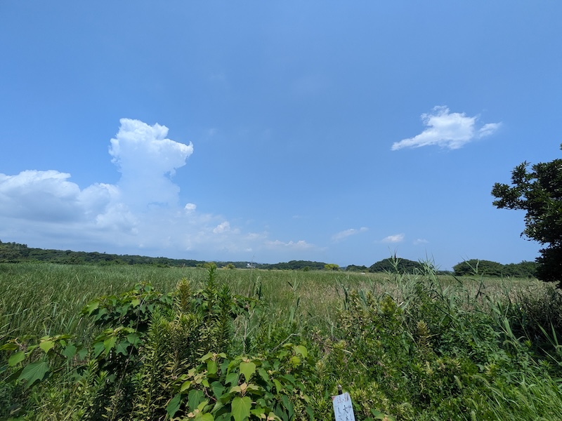 旧店舗のお店近くの自然の様子