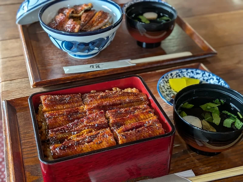 うなぎ丼とうな重