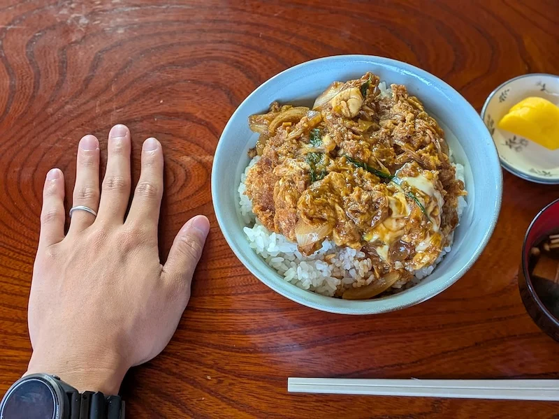 手のひらサイズの大きな丼