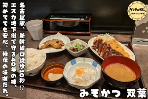 名古屋駅で味わえる名物みそかつ「双葉」