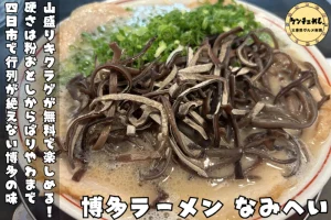 山盛りキクラゲとねぎがのった博多ラーメン なみへいの一杯