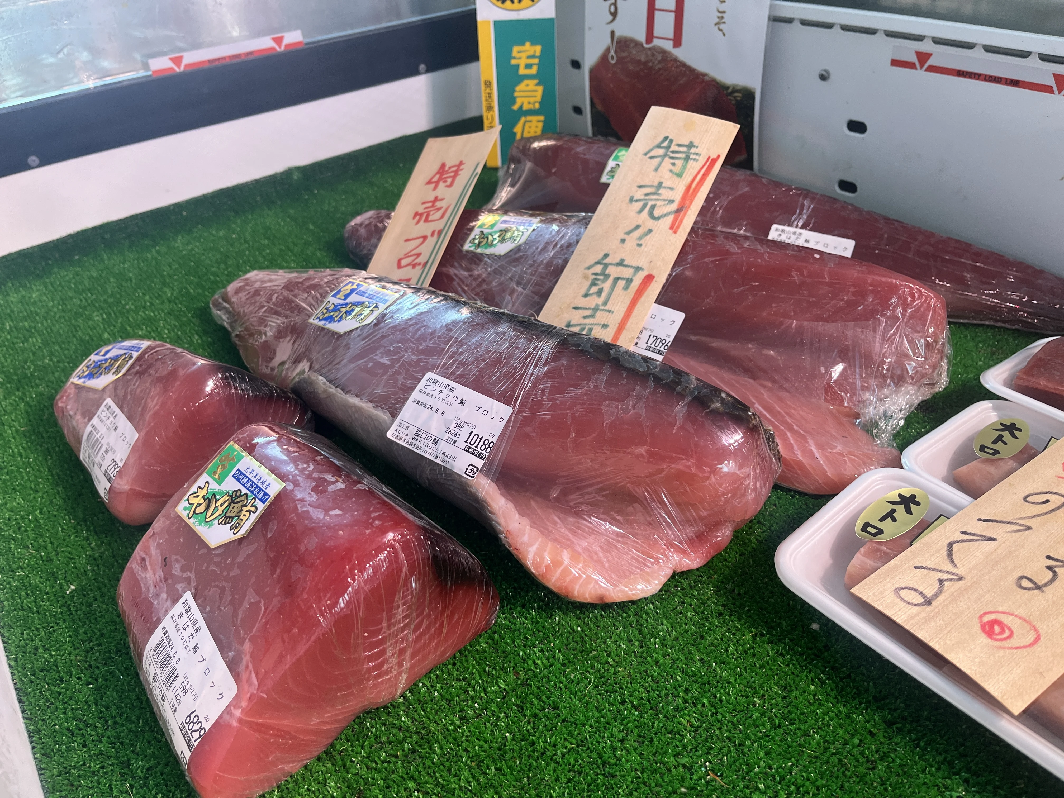 ビンチョウ・キハダの生マグロブロック
