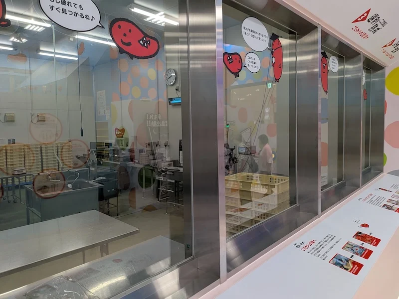 ガラス越しに見学できる明太子工場