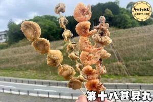 daizyuhachizinsyomaru