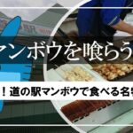 【紀伊長島】道の駅マンボウ 名物「マンボウの串焼き」を食べてみた！｜メニュー・駐車場